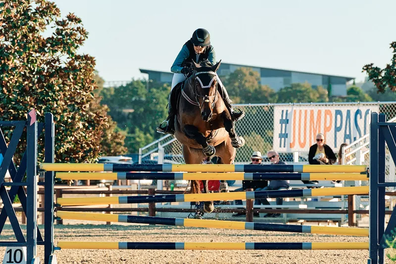 Equestrian
