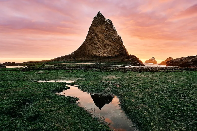Landscape