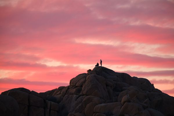 Fleeting & Timeless - Shared Summit