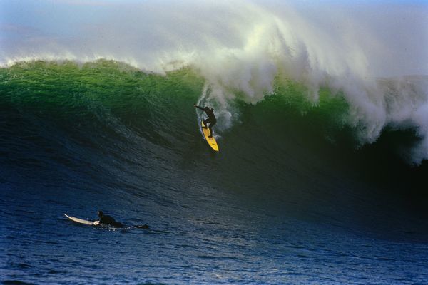 Backlit at Mavericks