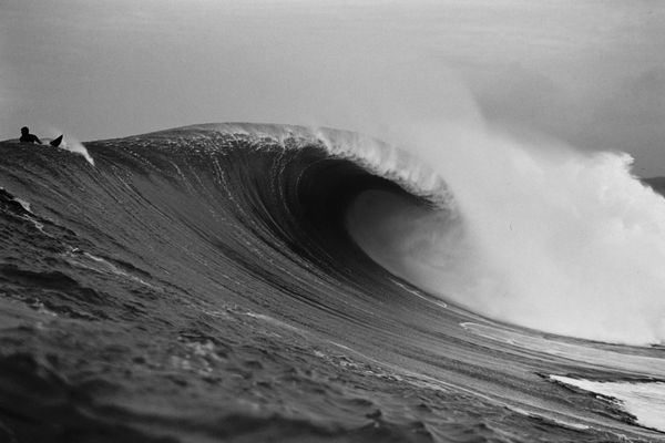 Mavericks Shoulder, Black & White